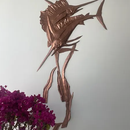 Mi Boutique Alojamento de Acomodação e Pequeno-almoço *